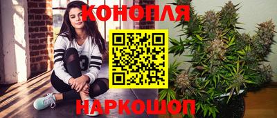 Альфа ПВП Краснознаменск