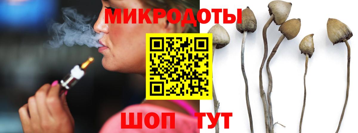 Галлюциногенные грибы Cubensis  Вход с VPN  Галлюциногенные грибы мицелий  Долгопрудный 